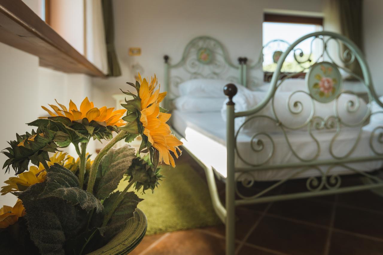 Palazzo Angelica B&B Adults Only Oprtalj ภายนอก รูปภาพ